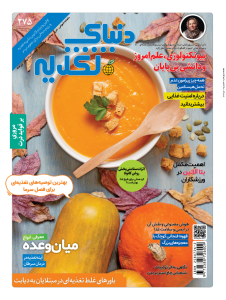 تغذیه سالم